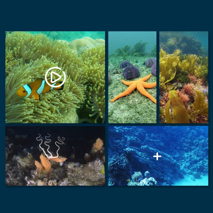 OceanEye WiFi Camera Submarine