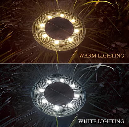 Two solar lights with warm and white lighting options on a grassy background.